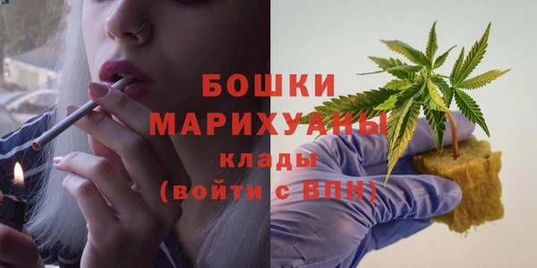 сатива Арсеньев
