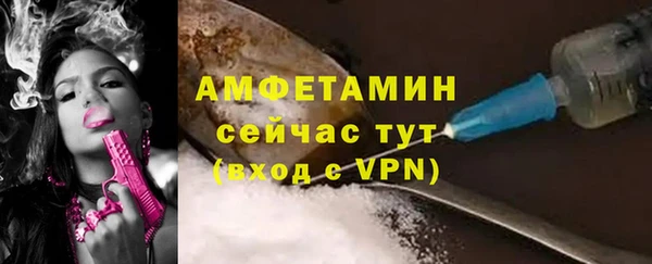 сатива Арсеньев