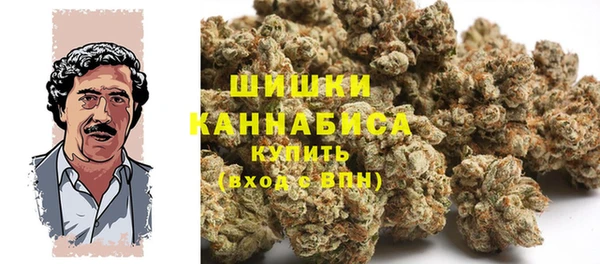 сатива Арсеньев