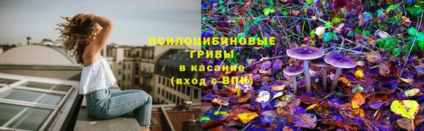 первитин Армянск