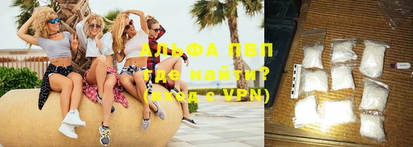 сатива Арсеньев